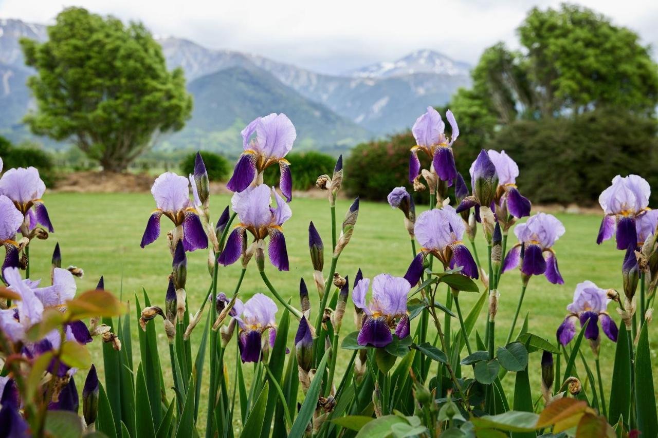 Awatea Country Bed & Breakfast Kaikoura Exteriér fotografie