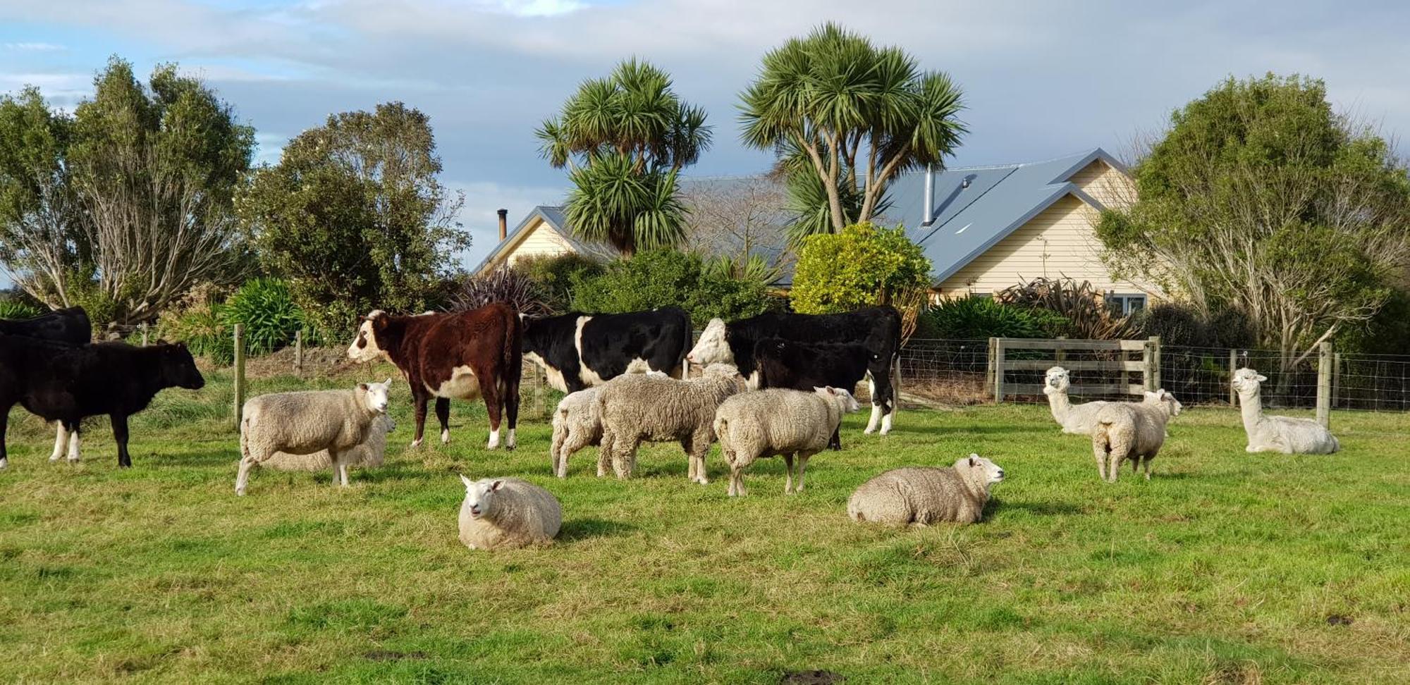 Awatea Country Bed & Breakfast Kaikoura Exteriér fotografie