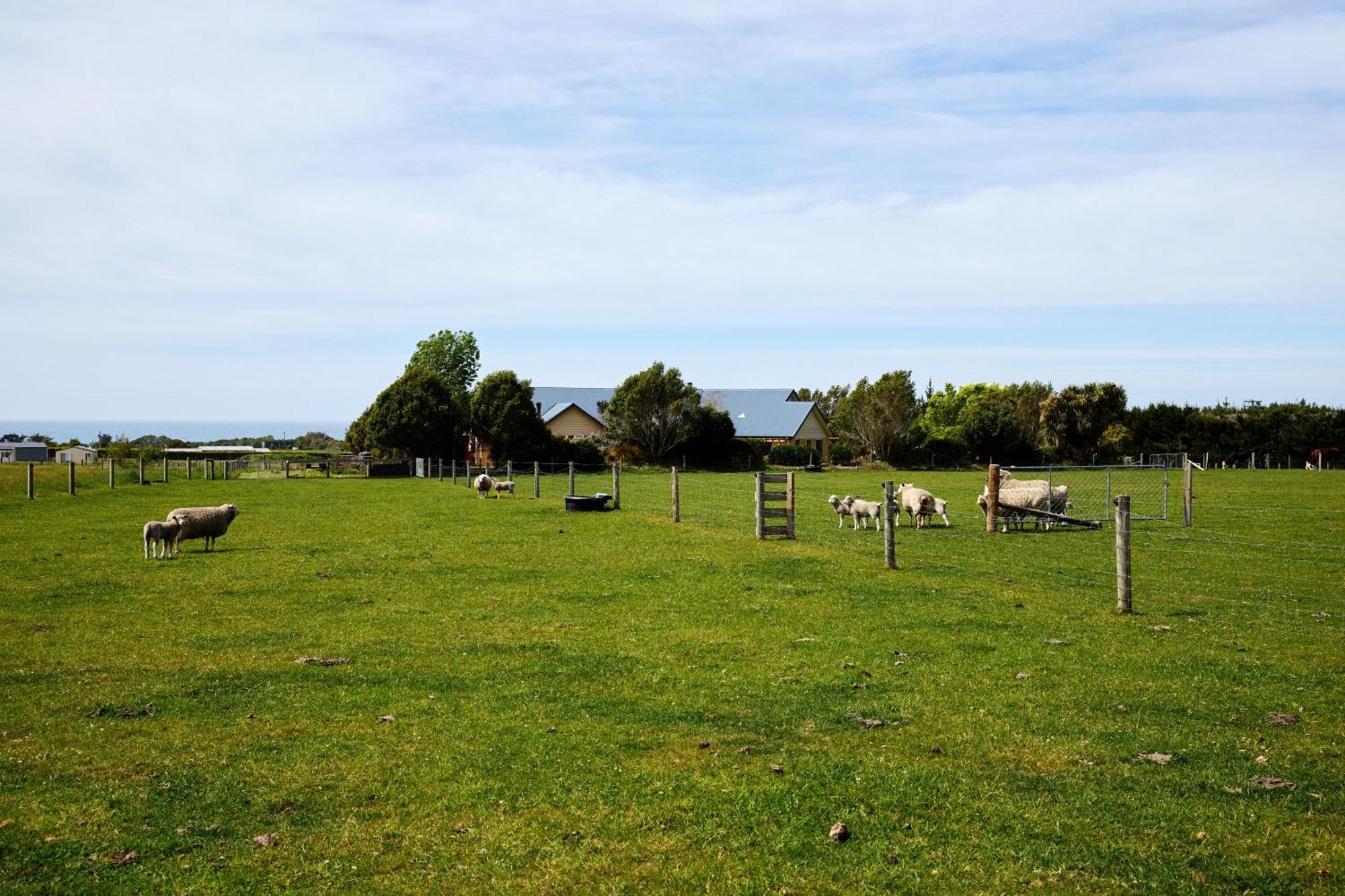 Awatea Country Bed & Breakfast Kaikoura Exteriér fotografie