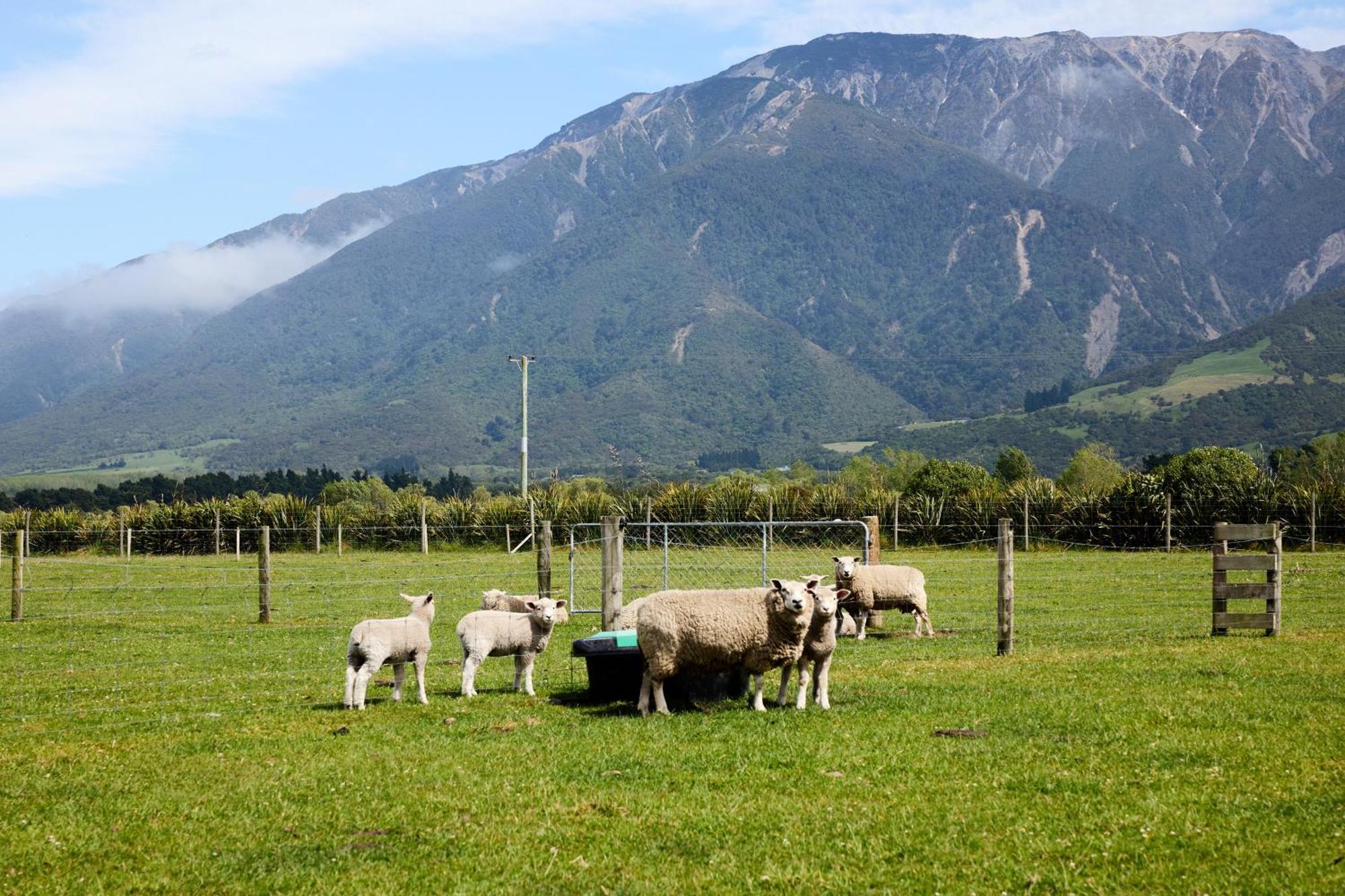 Awatea Country Bed & Breakfast Kaikoura Exteriér fotografie